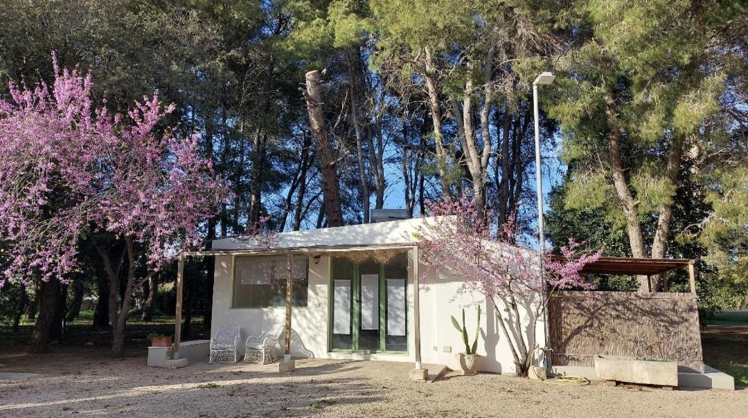 B&B Villa I 2 Leoni Лече Стая снимка